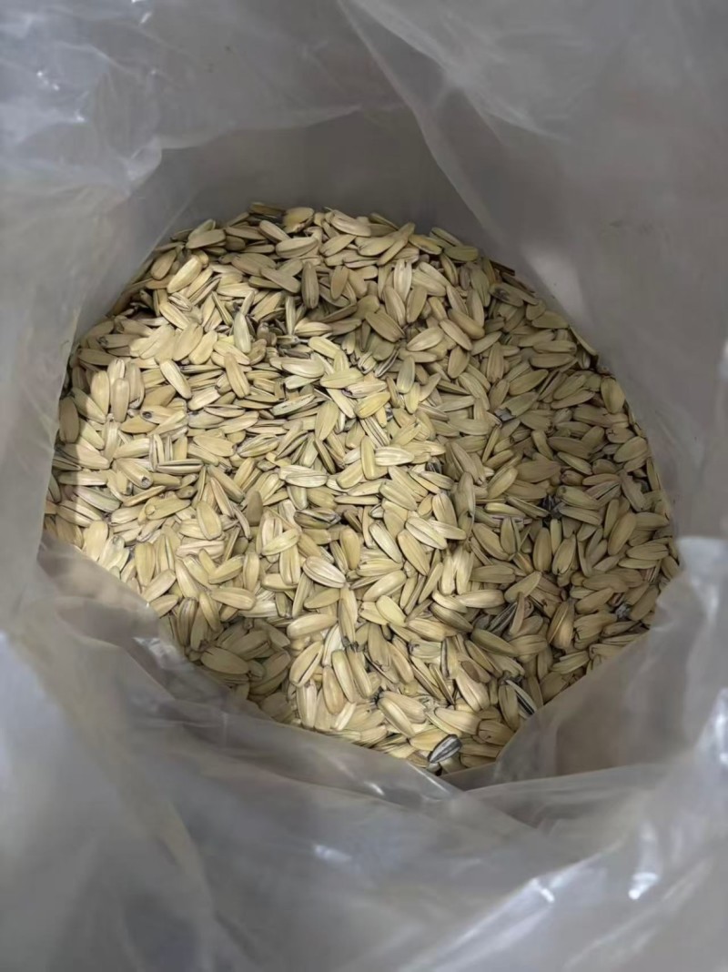 多味脱打手瓜子50斤装电商专用一手货厂家直销