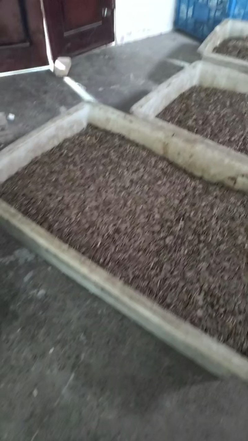 麻辣瓜子鲜香美味现做现发源头工厂直供批发量大优惠