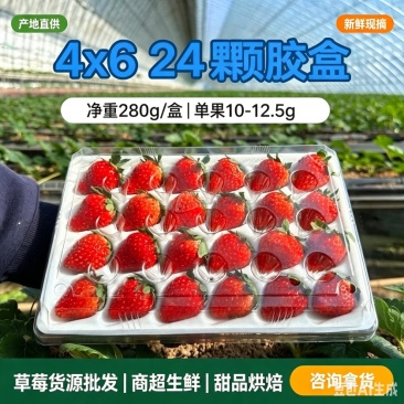 云南蒙特瑞草莓