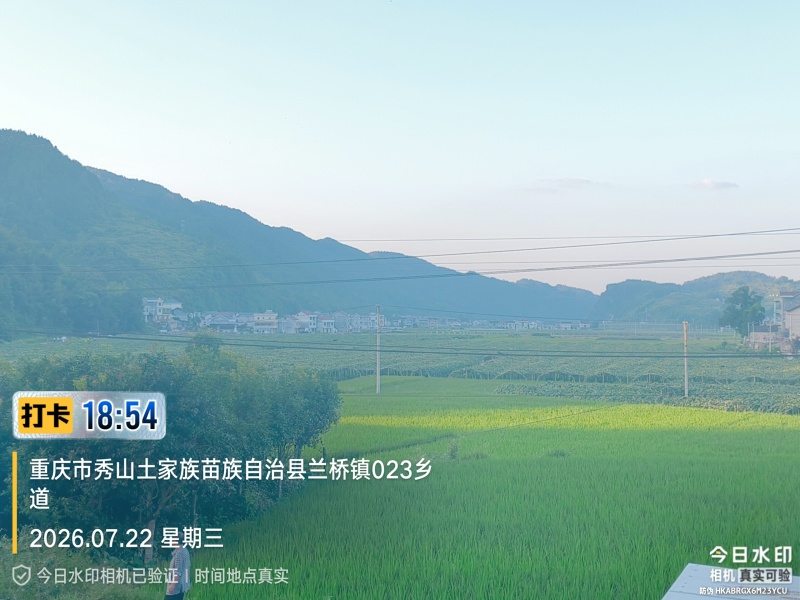 白玉丝瓜