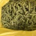 安徽临泉毛豆大量有货，物美价廉，欢迎老板电话订货