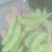 安徽临泉毛豆大量有货，物美价廉，欢迎老板电话订货