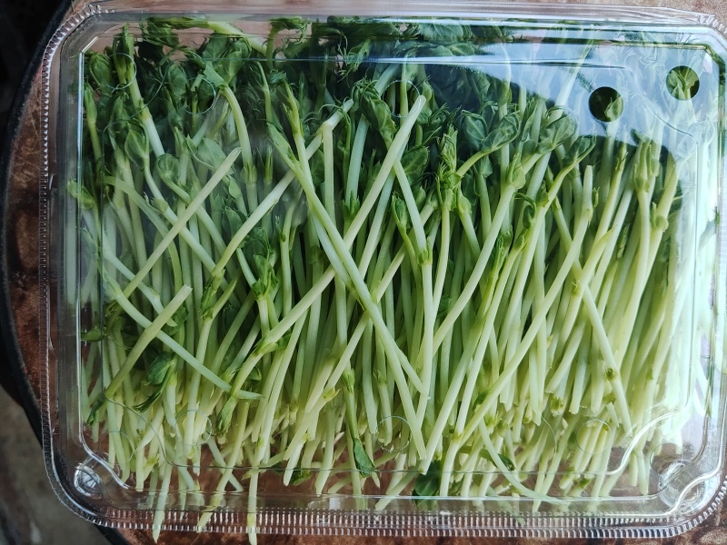豌豆苗是芽苗菜中的一个品种长度12cm左右当天采收发货