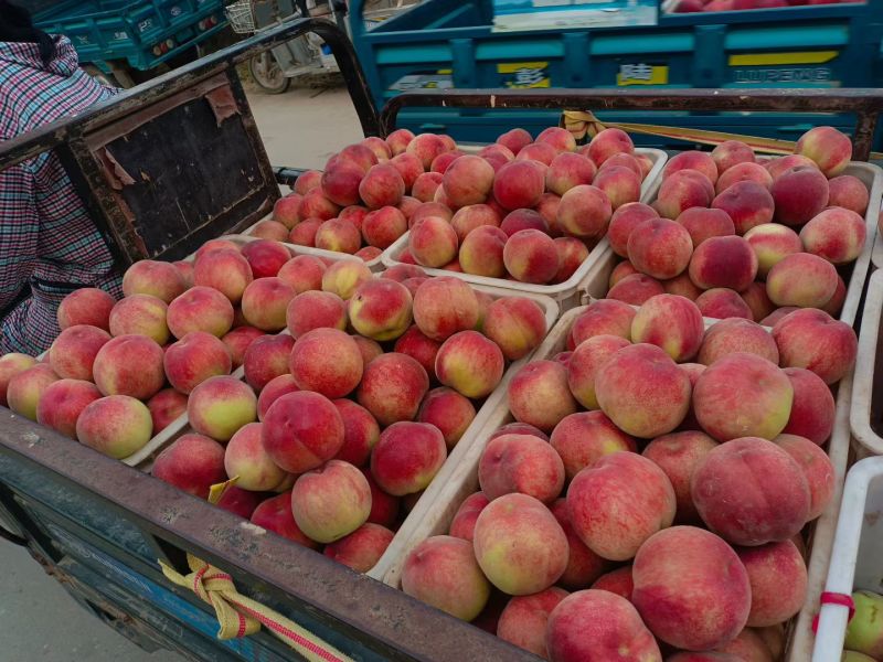 大量上市