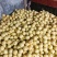 大量销售二级纸袋黄冠梨白黄冠有需要的老板可联系