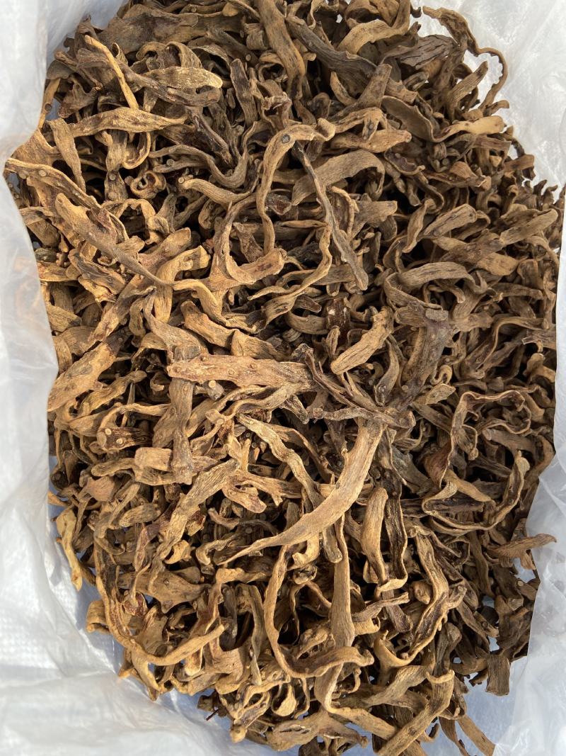 骨碎补