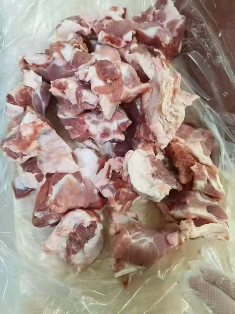 软骨块