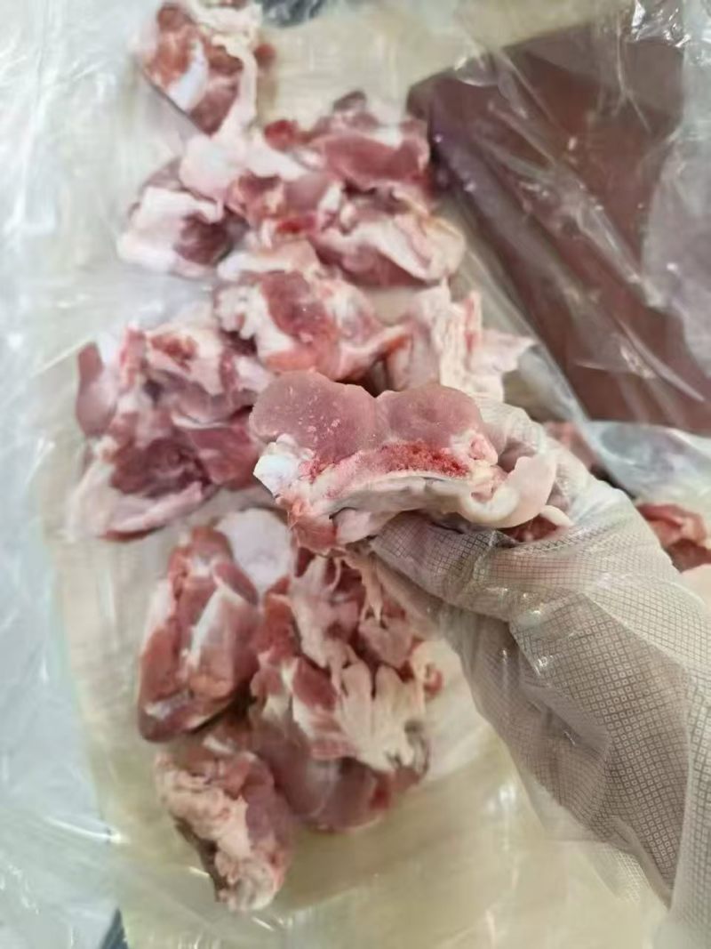 软骨块
