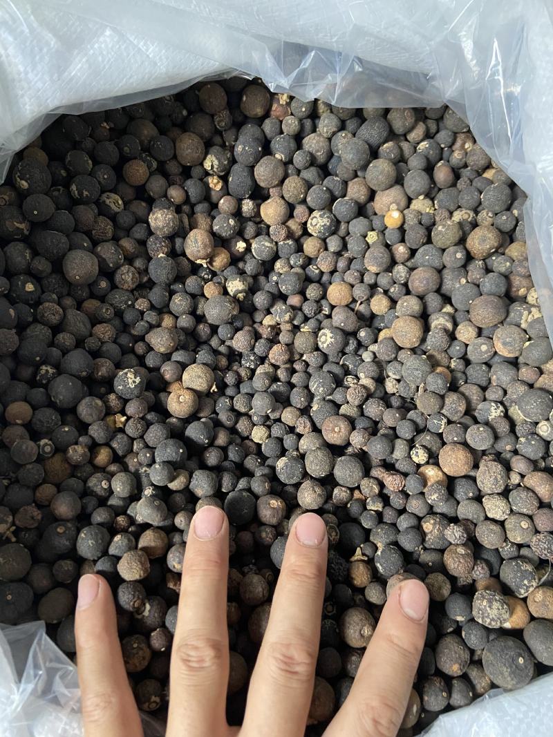 枳实（酸橙）