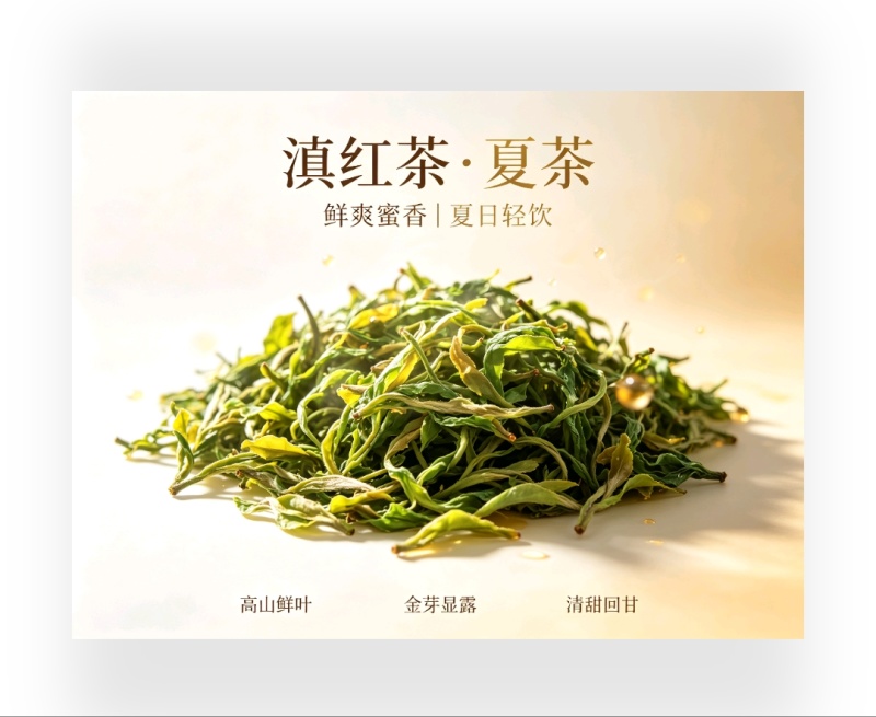工夫红茶古树夏茶一芽两叶/一芽三叶
