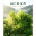 工夫红茶古树夏茶一芽两叶/一芽三叶