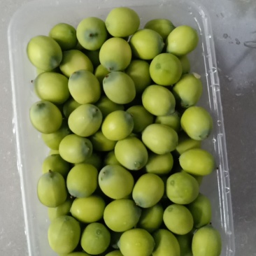 新鲜莲蓬自己种植