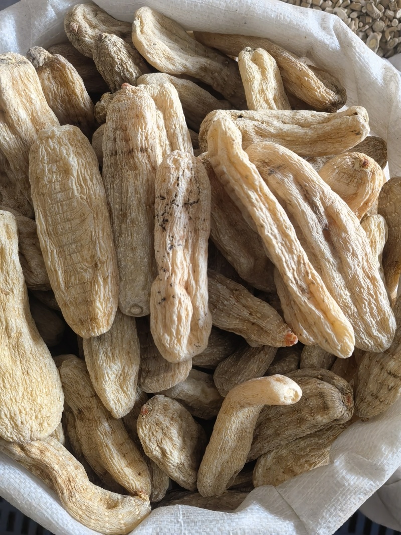 天麻天麻个玻璃茬关书药业批发中药材