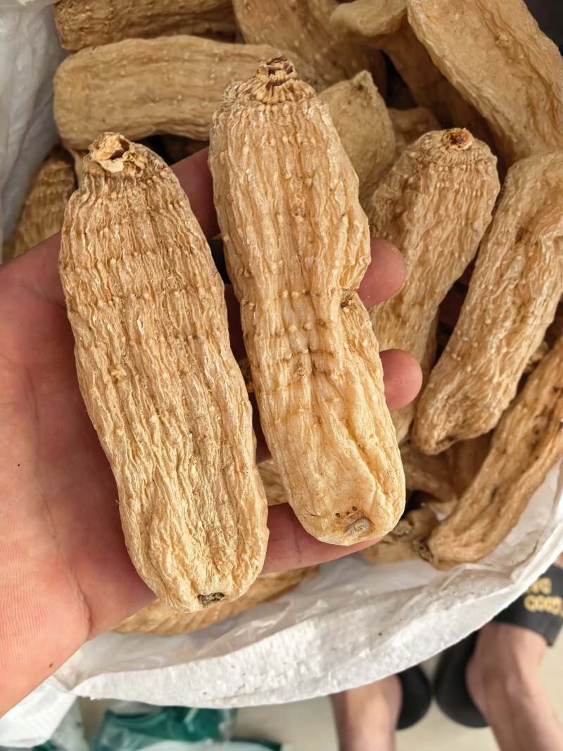 天麻天麻个玻璃茬关书药业批发中药材