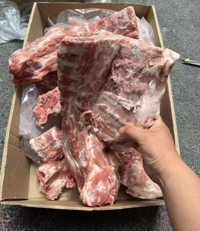 3237猪颈骨