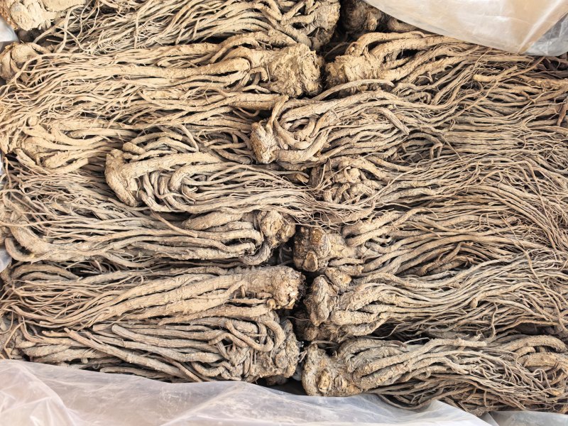 当归无硫当归大个子新货关书药业批发中药材