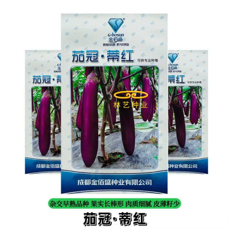 茄冠蒂红茄子种子早熟果皮红紫亮丽口感细嫩高产抗病春秋长茄