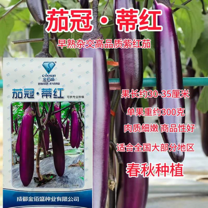 茄冠蒂红茄子种子早熟果皮红紫亮丽口感细嫩高产抗病春秋长茄