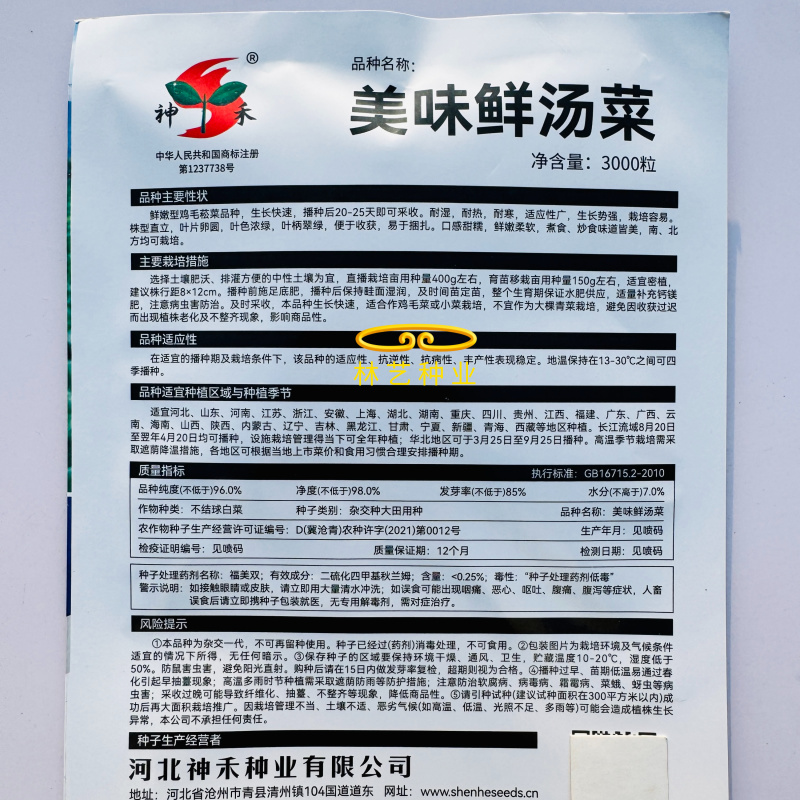 美味鲜汤菜种子鲜嫩型鸡毛崧菜种籽速生美味鸡毛菜种子青菜种