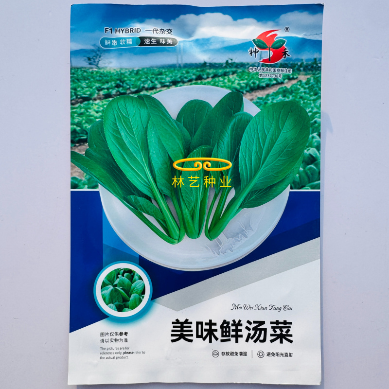 美味鲜汤菜种子鲜嫩型鸡毛崧菜种籽速生美味鸡毛菜种子青菜种