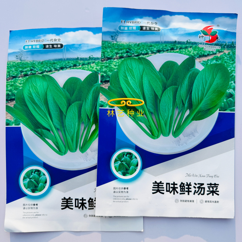 美味鲜汤菜种子鲜嫩型鸡毛崧菜种籽速生美味鸡毛菜种子青菜种