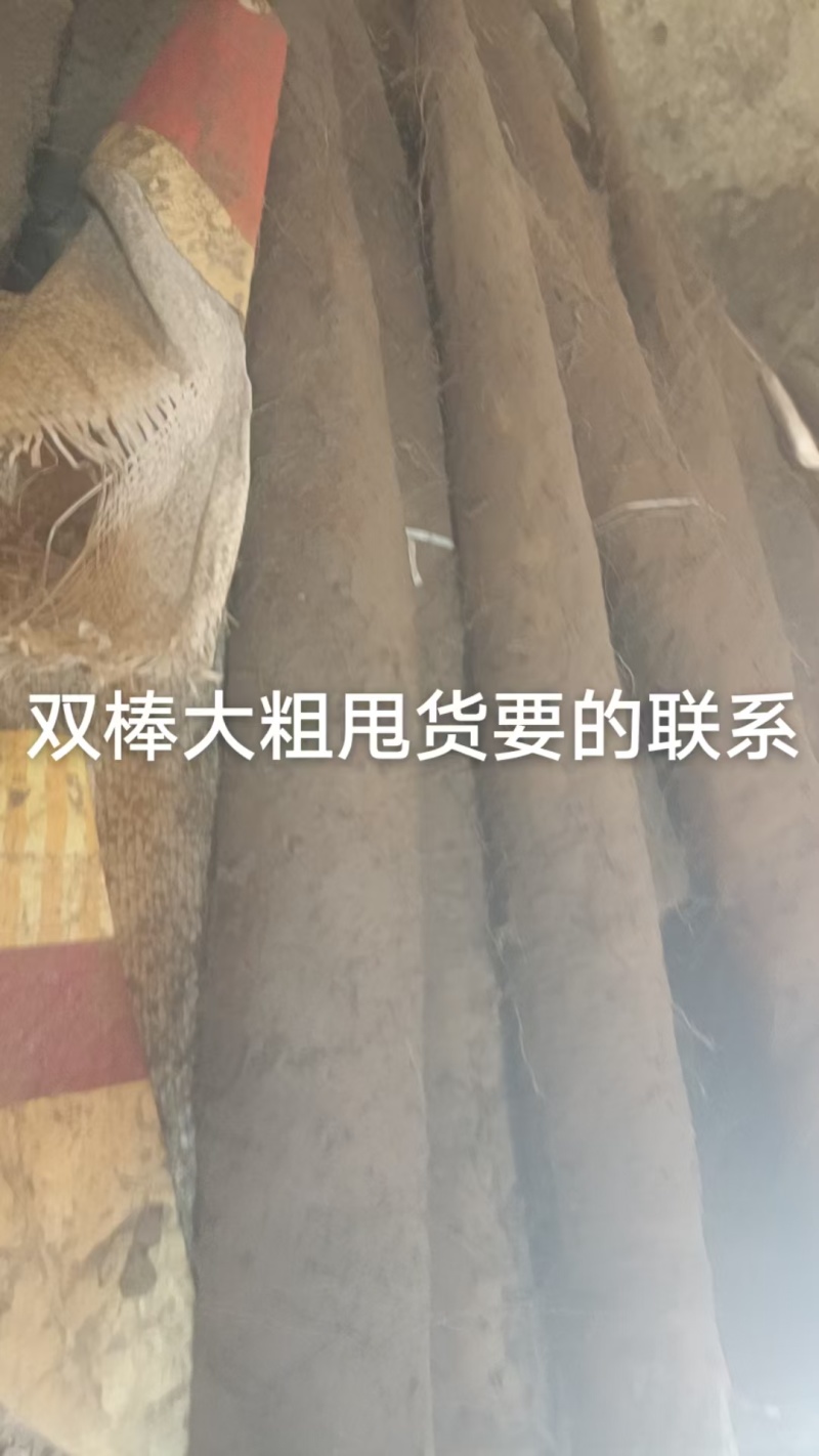 双棒大货