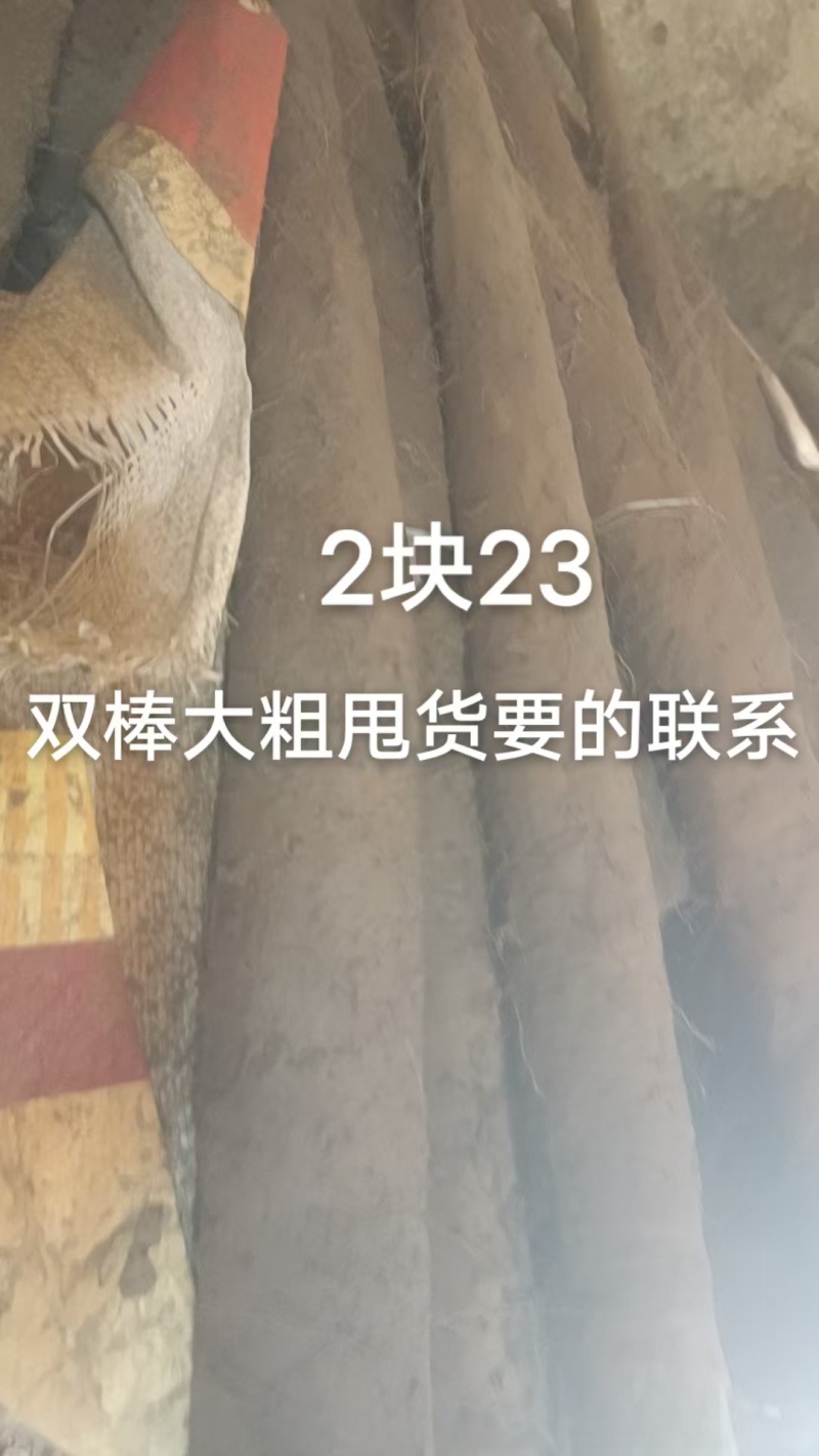 双棒大货