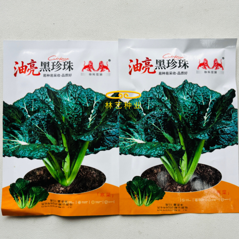 油亮黑珍珠寒青菜种子黑叶青梗厚肉耐寒耐抽苔蔬菜种籽