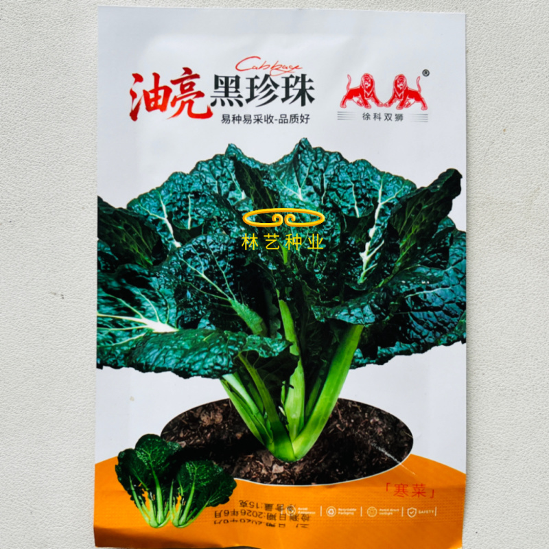 油亮黑珍珠寒青菜种子黑叶青梗厚肉耐寒耐抽苔蔬菜种籽