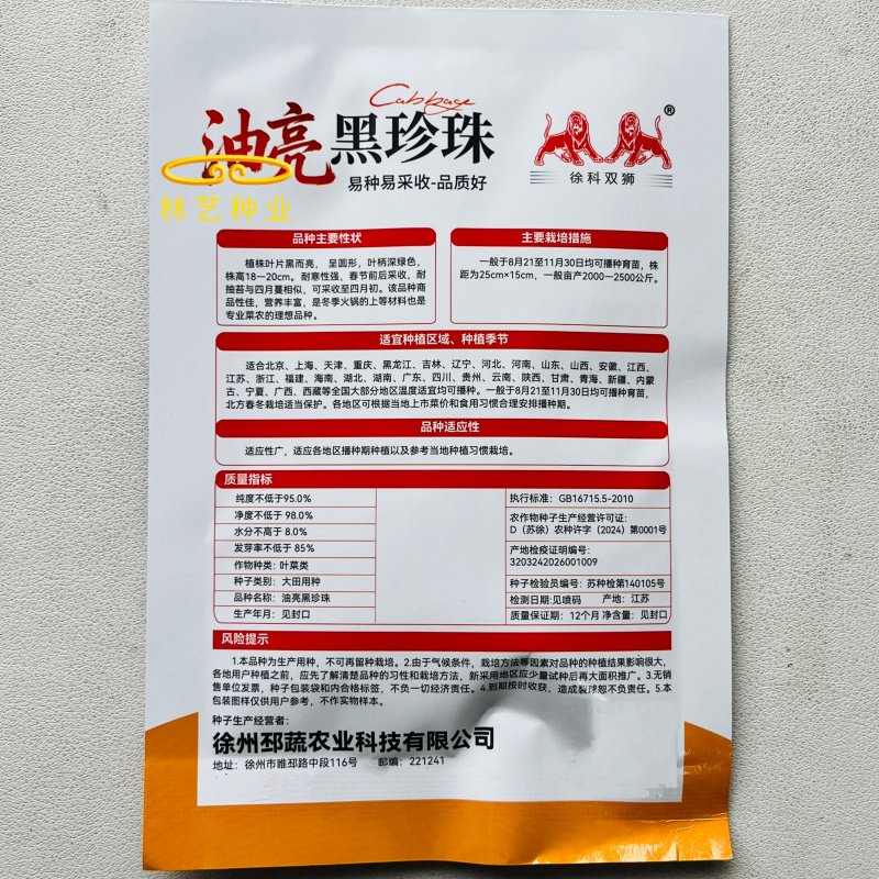 油亮黑珍珠寒青菜种子黑叶青梗厚肉耐寒耐抽苔蔬菜种籽