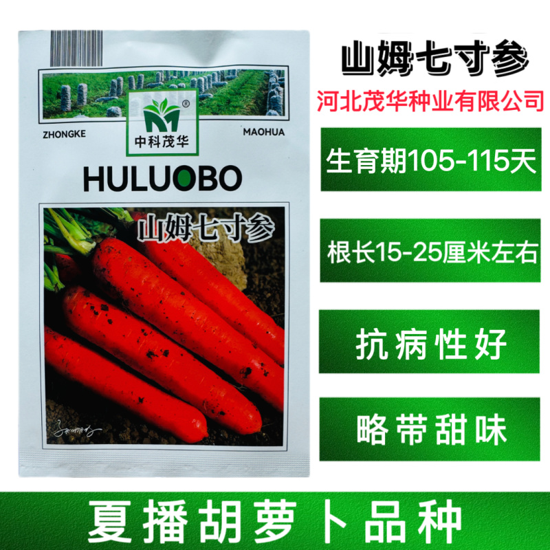 山姆七寸参胡萝卜种子高产皮肉心三红率高商品性佳基地农家