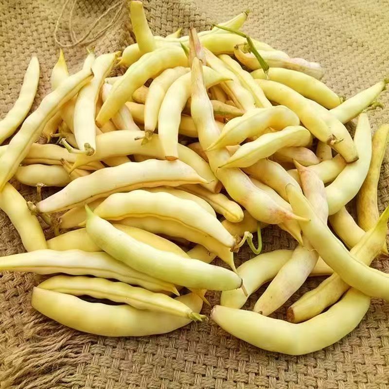 炖炖香黄金钩油豆种子面豆圆角肉厚细腻无筋无纤维