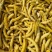 炖炖香黄金钩油豆种子面豆圆角肉厚细腻无筋无纤维