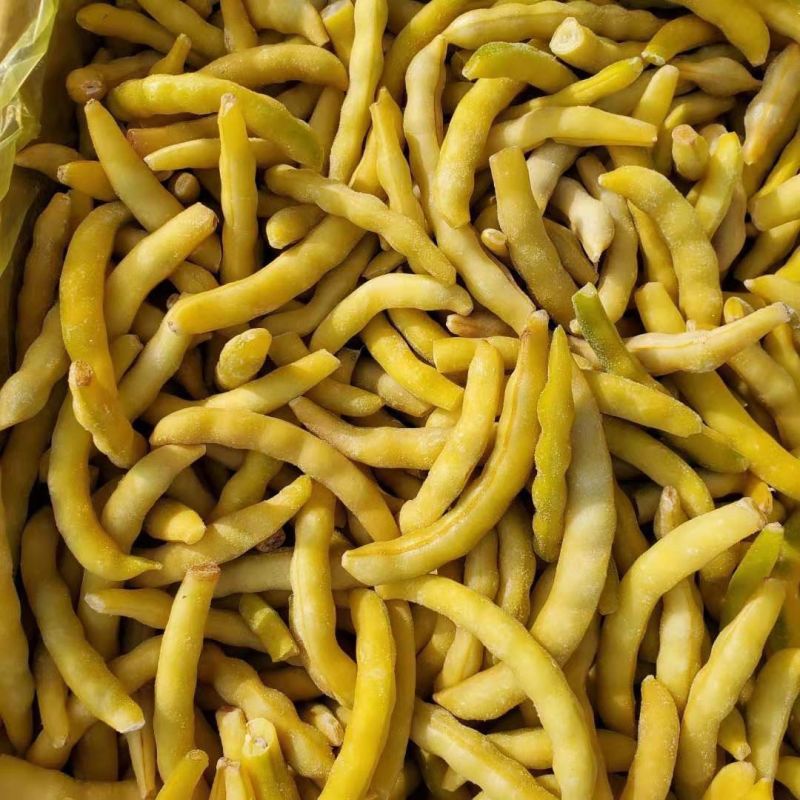 炖炖香黄金钩油豆种子面豆圆角肉厚细腻无筋无纤维
