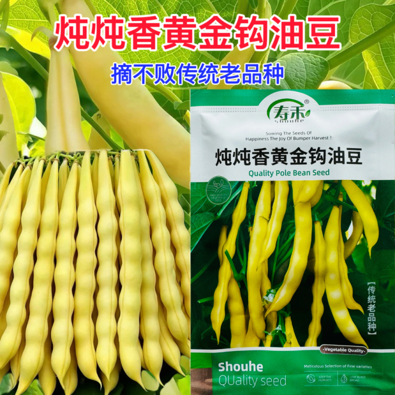 炖炖香黄金钩油豆种子面豆圆角肉厚细腻无筋无纤维