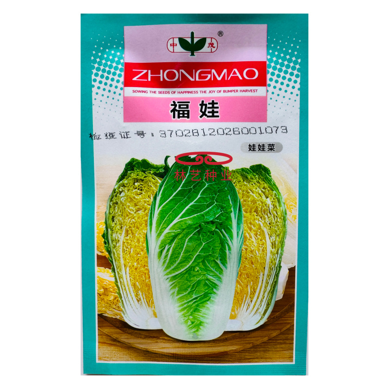 福娃白菜种子早熟黄心娃娃菜籽耐抽薹耐低温春秋播黄心大白菜