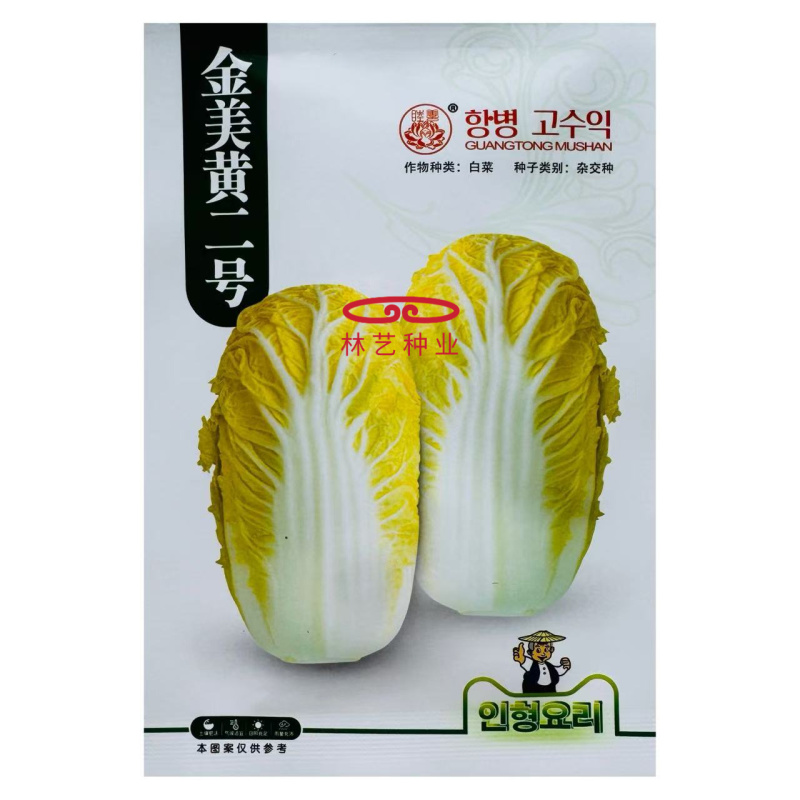 金美黄二号娃娃菜种子抗病早熟韩国引进新型娃娃菜种籽春秋季