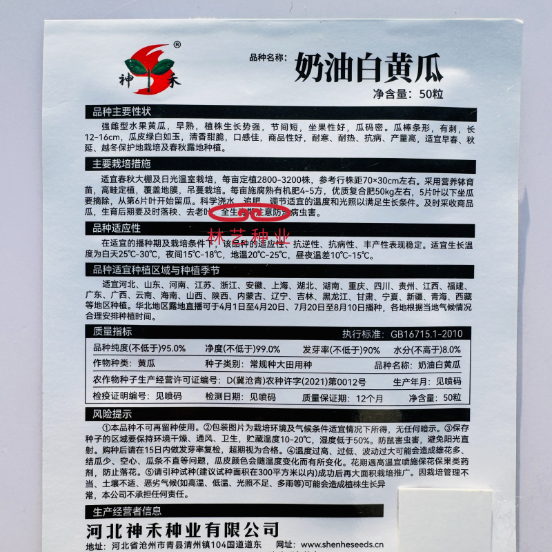 奶油白黄瓜种子强雌型水果黄瓜种子节间短瓜码密清香甜脆耐热