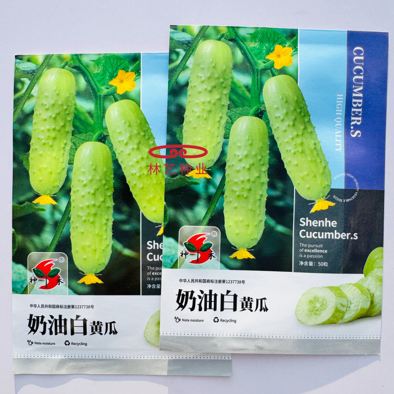 奶油白黄瓜种子强雌型水果黄瓜种子节间短瓜码密清香甜脆耐热
