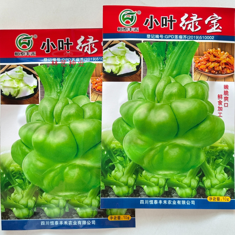 小叶绿宝榨菜种子清香脆嫩高产耐寒抗病商品性佳农家秋季播种