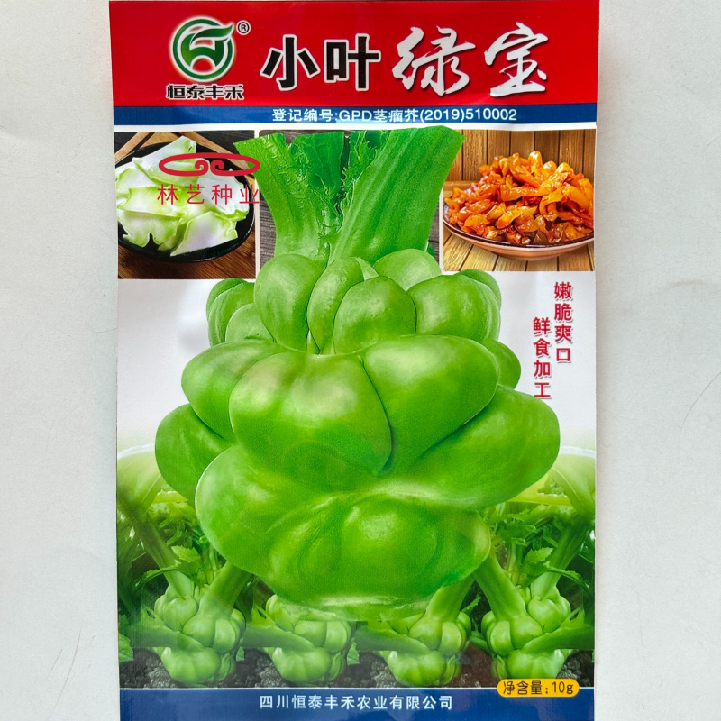 小叶绿宝榨菜种子清香脆嫩高产耐寒抗病商品性佳农家秋季播种