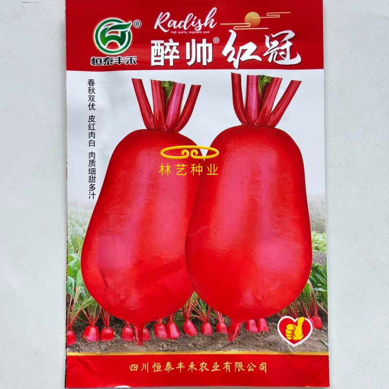 醉帅红冠红皮萝卜种子甜脆细嫩多汁高产抗病商品性佳秋季播种