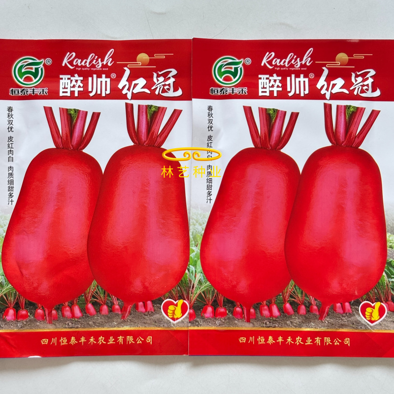 醉帅红冠红皮萝卜种子甜脆细嫩多汁高产抗病商品性佳秋季播种