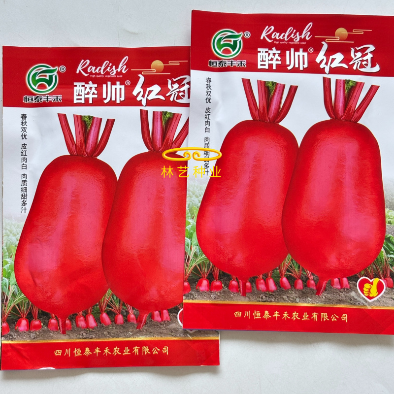 醉帅红冠红皮萝卜种子甜脆细嫩多汁高产抗病商品性佳秋季播种
