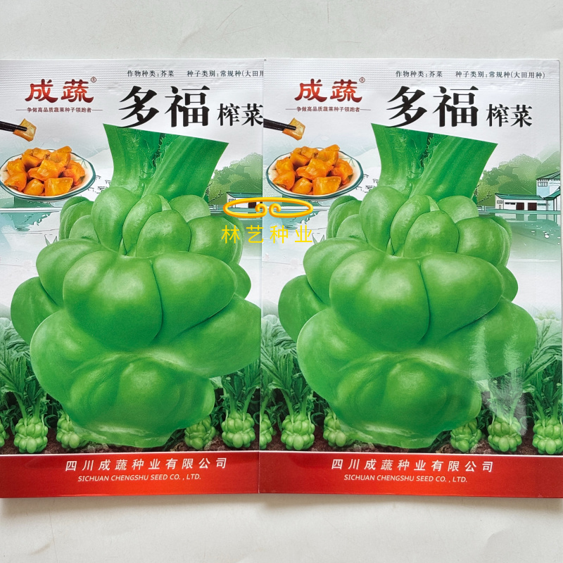 多福榨菜种子早中熟叶色深绿色菜头呈瘤状鲜食加工皆宜