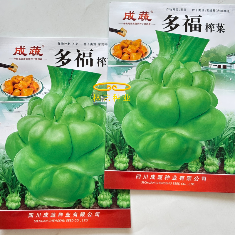 多福榨菜种子早中熟叶色深绿色菜头呈瘤状鲜食加工皆宜