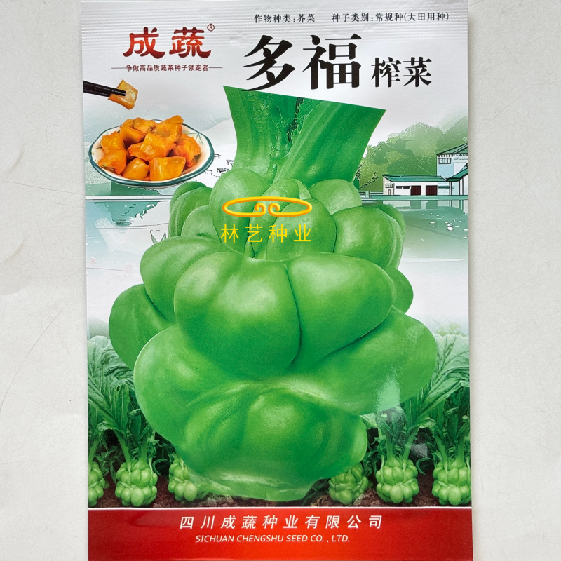 多福榨菜种子早中熟叶色深绿色菜头呈瘤状鲜食加工皆宜