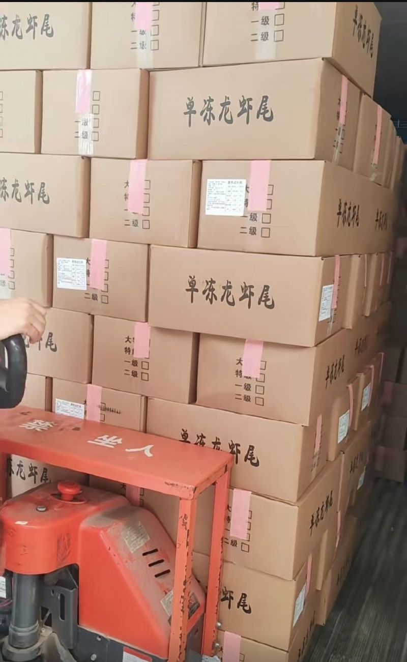 无冰干冰无冰衣特级龙虾尾原料