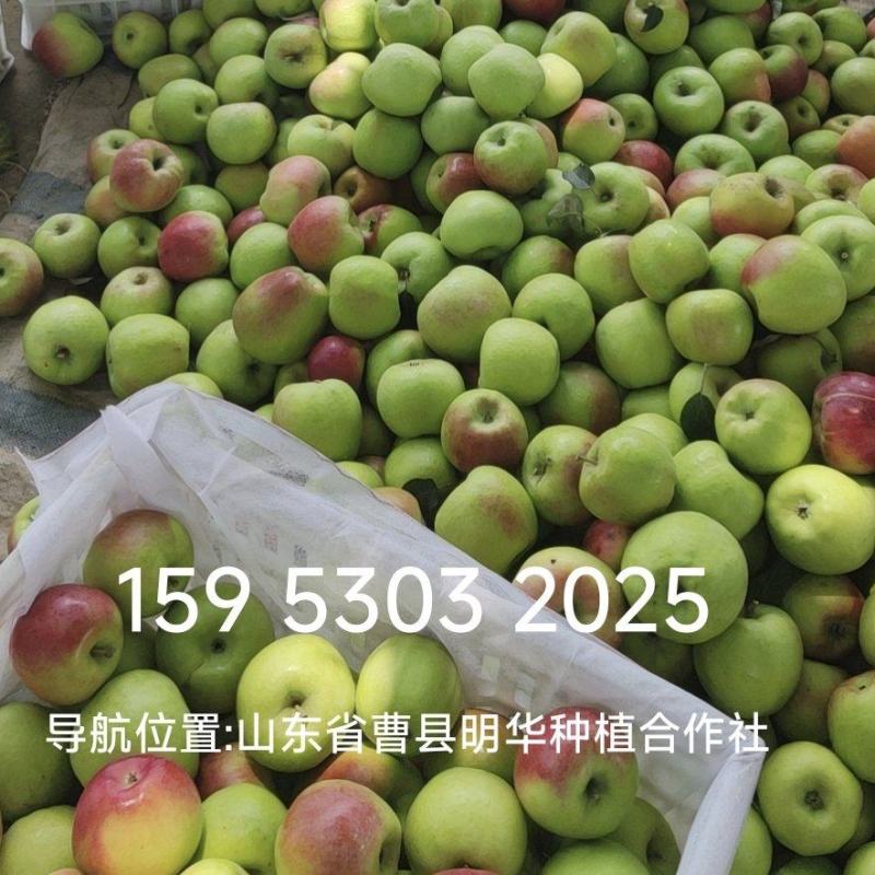 华硕苹果低价出售日摘300框左右，价格可议