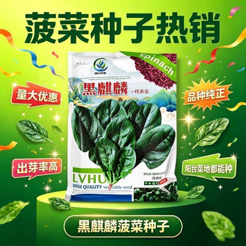 黑麒麟菠菜种子2斤原装春秋墨绿菠菜种籽适合捆扎肥厚大圆叶